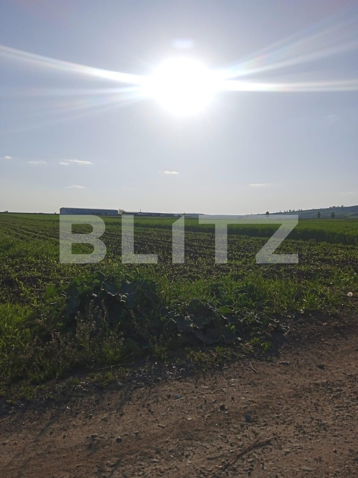 Teren de vânzare Scheia - 116837TV | BLITZ Suceava | Poza2