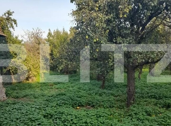 Casa de vânzare 3 camere Sud - 116838CV | BLITZ Suceava | Poza7