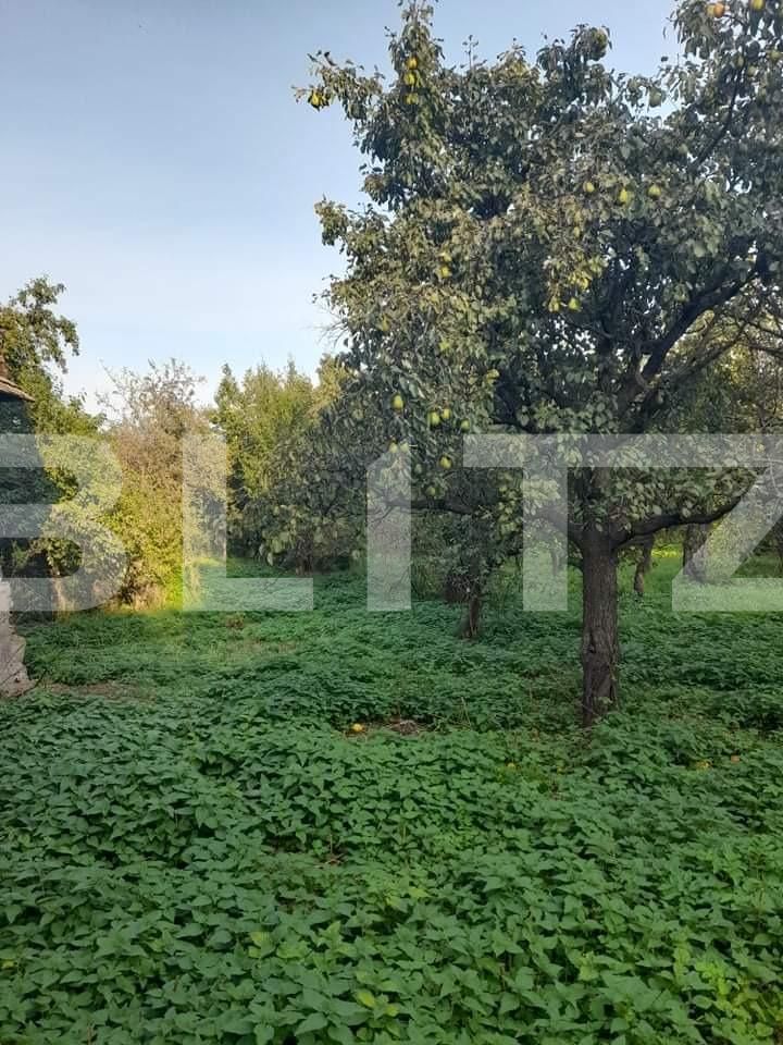 Casa de vânzare 3 camere Sud - 116838CV | BLITZ Suceava | Poza7