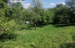 Teren intravilan, 4780 mp, zona Harbarie