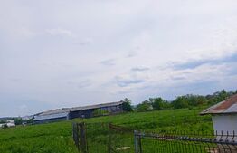 Casă individuală 4 camere, 110 mp utili și 7000 mp de teren,  în zona Mitocu Dragomirnei