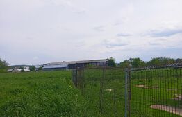 Casă individuală 4 camere, 110 mp utili și 7000 mp de teren,  în zona Mitocu Dragomirnei