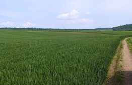 Ocazie! Teren extravilan de 7300 mp (73 ari), cu două fronturi de  20 ml, două căi de acces și electricitate în apropiere, zona Mitocu Dragomirnei