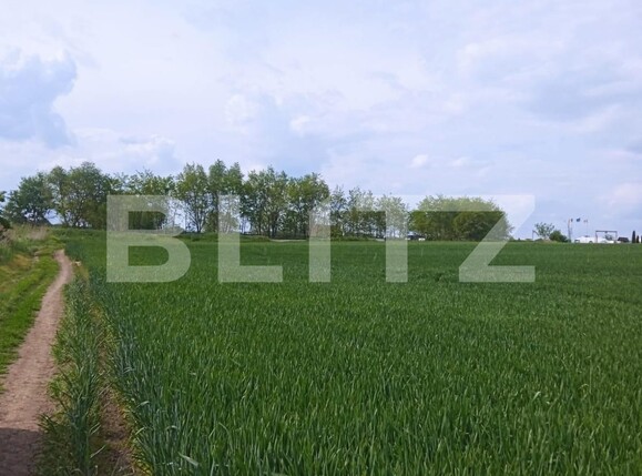 Teren de vânzare Nord Est - 117132TV | BLITZ Suceava | Poza2