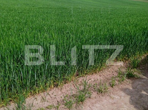 Teren de vânzare Nord Est - 117132TV | BLITZ Suceava | Poza3
