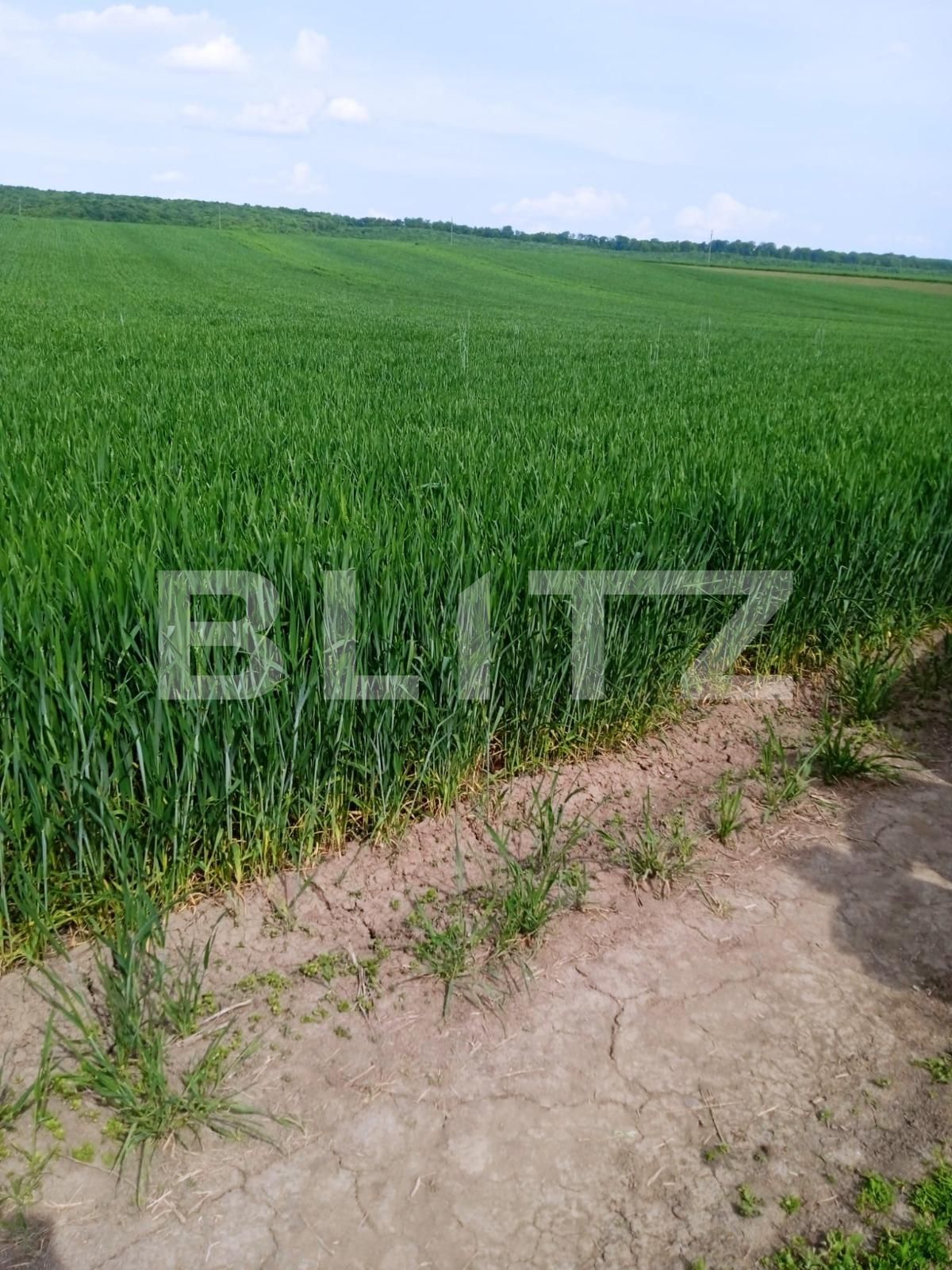 Teren de vânzare Nord Est - 117132TV | BLITZ Suceava | Poza3