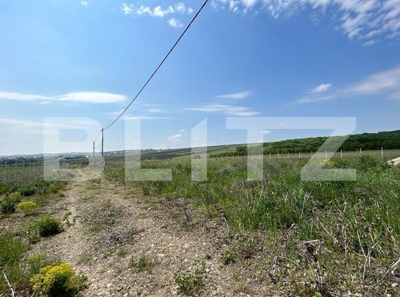 Teren de vânzare Ipotesti - 117176TV | BLITZ Suceava | Poza1