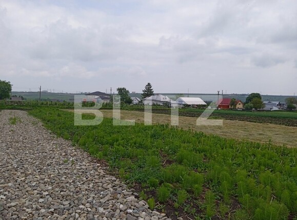 Teren de vânzare Exterior Sud - 117356TV | BLITZ Suceava | Poza2