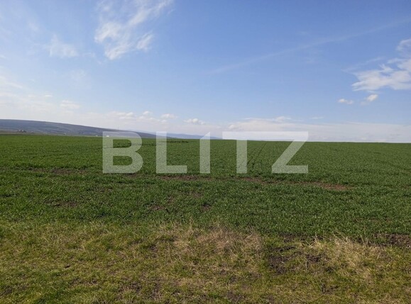 Teren de vânzare Exterior Sud - 117627TV | BLITZ Suceava | Poza2