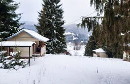 Casă și căbănuțe cu teren de 4000 mp în zona Șaru Dornei, Județul Suceava (Video) POSIBILITATE ACHIZIȚIE CABANA ȘI CĂBĂNUȚELE CU TEREN AFERENT DE 1000 MP LA 125.000 EURO. Bonus - căsuță în copac.