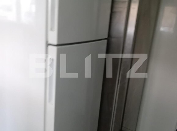 Spațiu comercial de închiriat Burdujeni - 117758SIC | BLITZ Suceava | Poza8