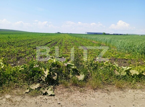 Teren de vânzare Scheia - 117812TV | BLITZ Suceava | Poza1