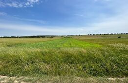 Teren cu suprafata de 8000mp ,situat in Mitocu Dragomirnei,zona Manastirii