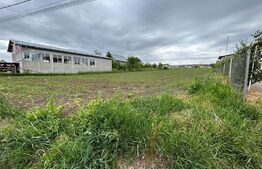 Teren intravilan, 8400 mp, Ipotesti