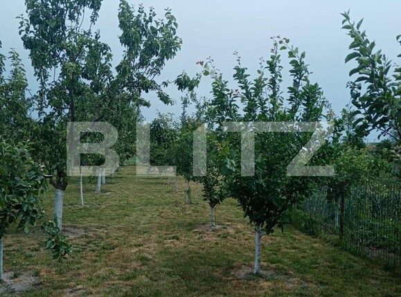 Casa de vânzare 3 camere Nord - 118141CV | BLITZ Suceava | Poza7