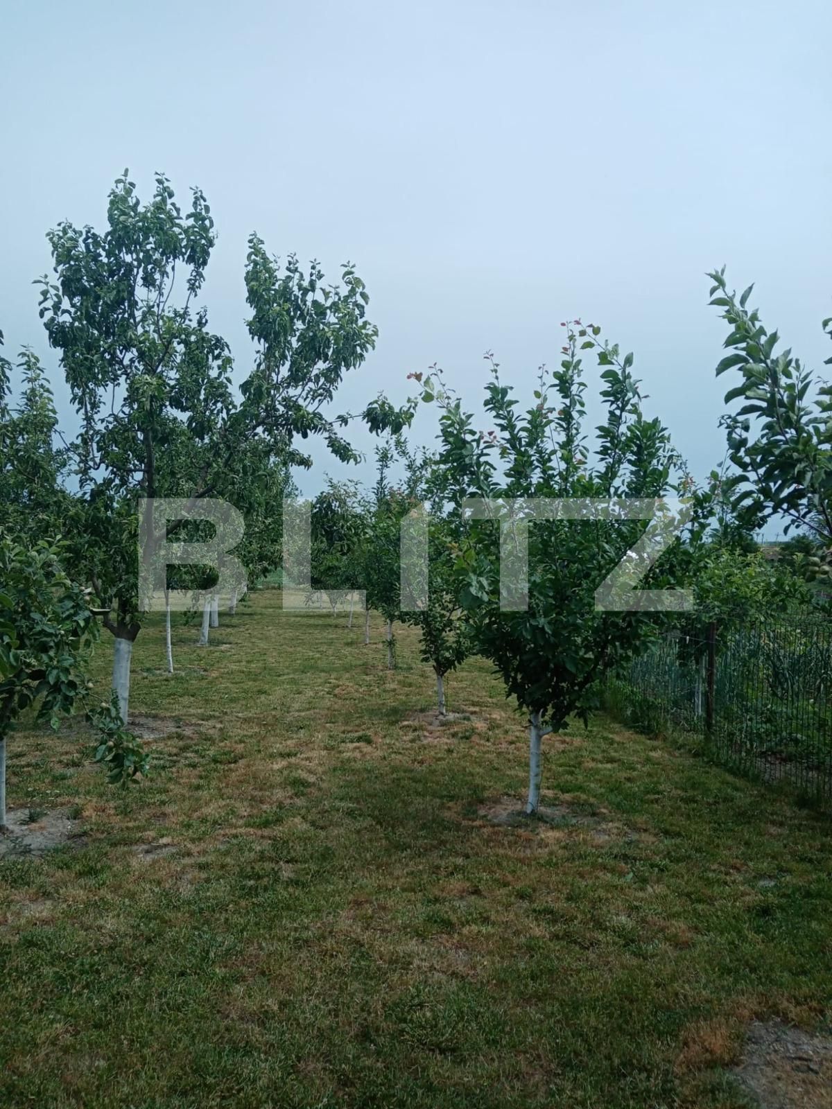 Casa de vânzare 3 camere Nord - 118141CV | BLITZ Suceava | Poza7