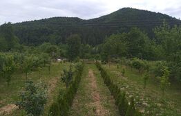 Casa de 250 mp si teren 1800 mp zona de munte