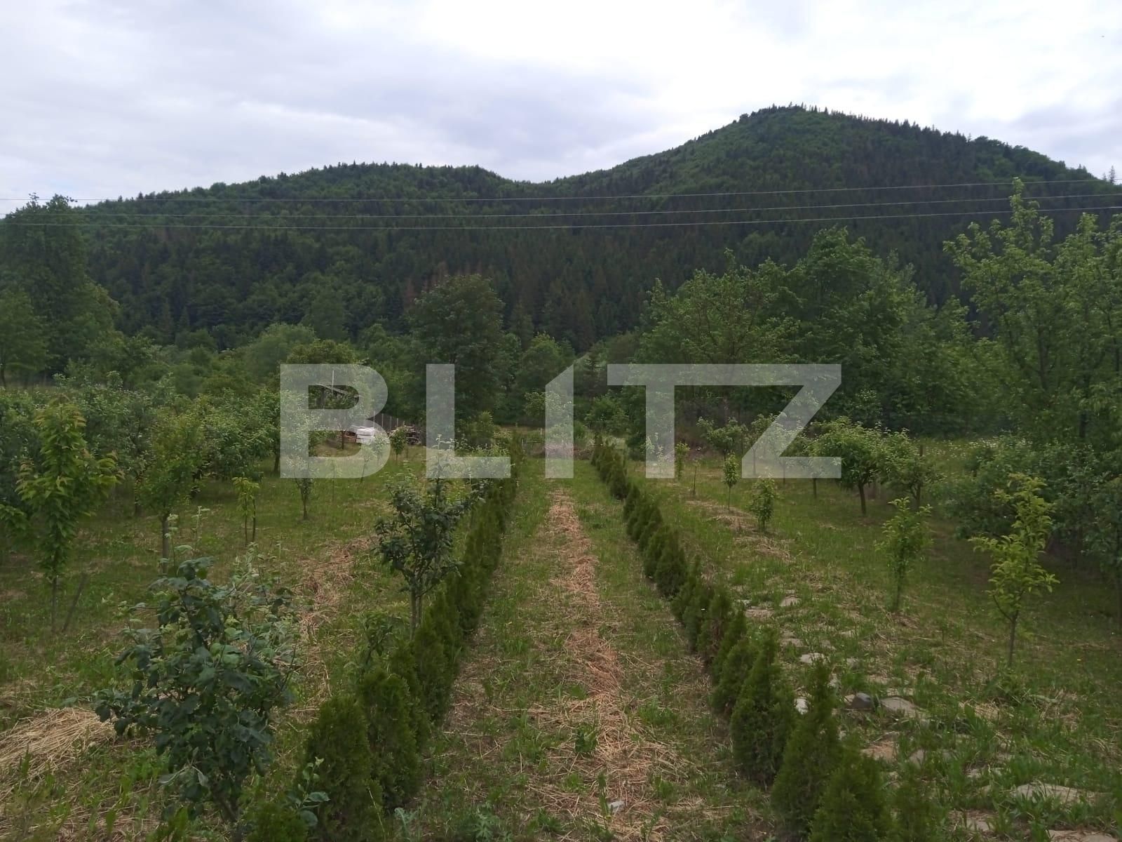 Casa de vânzare 5 camere Sud - 118161CV | BLITZ Suceava | Poza15