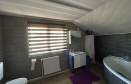 Casa individuala zona Natanael Suceava