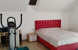 Casa ideala de 300 mp in Tatarasi