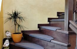 Casa ideala de 300 mp in Tatarasi