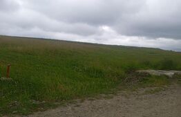 Teren intravilan 500 mp in Tatarasi