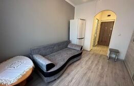 Garsoniera, 24 mp, zona Burdujeni