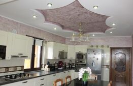 Casa individuala pentru sediu de firma, 380 mp, 1200 teren, zona Ramiro