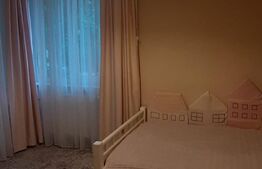 Apartament cu 3 camere, 60 mp, zona Ultracentrala 