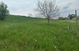 Teren intravilan de 1000 mp front 27,8 ml intrare Liteni, Moara