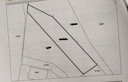 Teren intravilan de 1000 mp front 27,8 ml intrare Liteni, Moara
