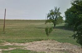 Teren intravilan de 1000 mp front 27,8 ml intrare Liteni, Moara