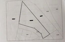 Teren intravilan de 1000 mp front 27,8 ml intrare Liteni, Moara