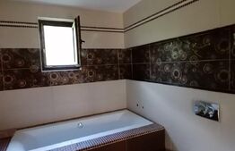 Casa individuala partial mobilata, 5000mp teren, Sat Negrileasa 