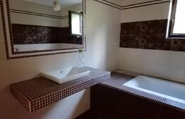 Casa individuala partial mobilata, 5000mp teren, Sat Negrileasa 