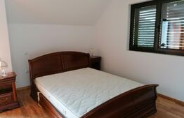 Casa individuala partial mobilata, 5000mp teren, Sat Negrileasa 