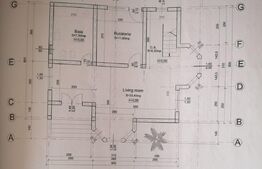 Casa individuala partial mobilata, 5000mp teren, Sat Negrileasa 