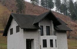 Casa individuala partial mobilata, 5000mp teren, Sat Negrileasa 