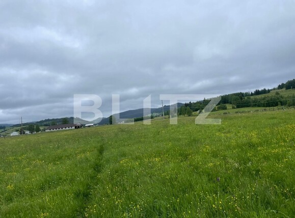 Casa de închiriat 1 camera Vatra Dornei - 118948CI | BLITZ Suceava | Poza2