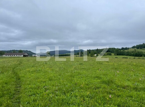 Casa de închiriat 1 camera Vatra Dornei - 118948CI | BLITZ Suceava | Poza5