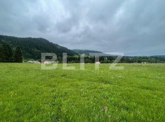 Casa de închiriat 1 camera Vatra Dornei - 118948CI | BLITZ Suceava | Poza4