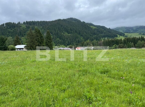 Casa de închiriat 1 camera Vatra Dornei - 118948CI | BLITZ Suceava | Poza6