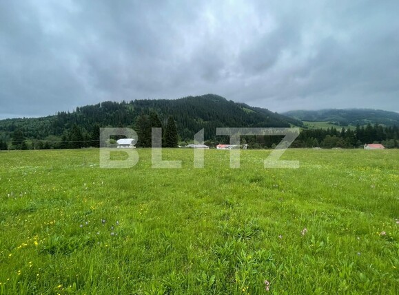 Casa de închiriat 1 camera Vatra Dornei - 118948CI | BLITZ Suceava | Poza1