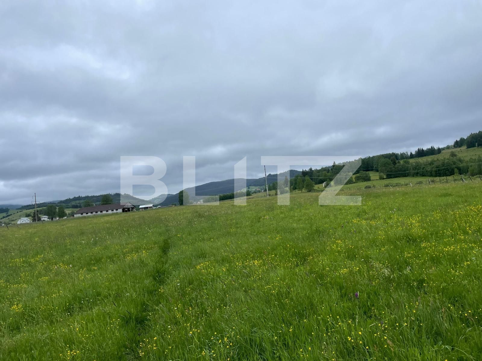 Casa de închiriat 1 camera Vatra Dornei - 118948CI | BLITZ Suceava | Poza2