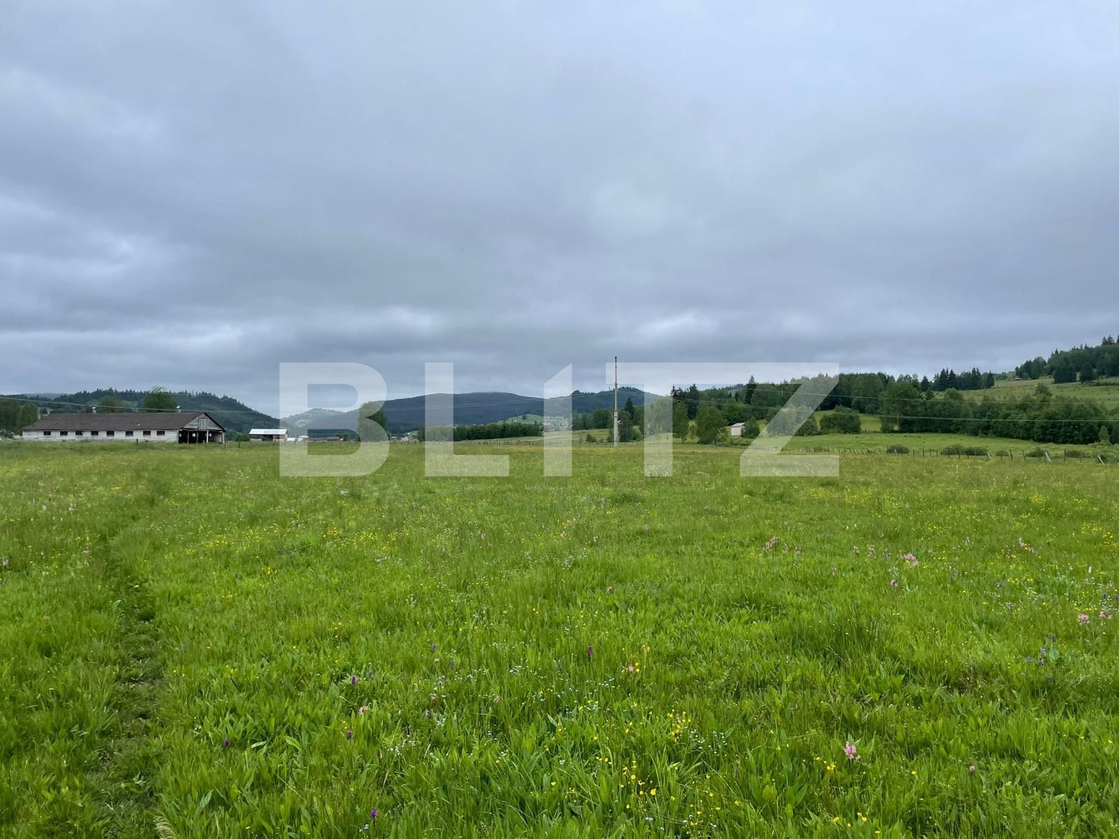 Casa de închiriat 1 camera Vatra Dornei - 118948CI | BLITZ Suceava | Poza5