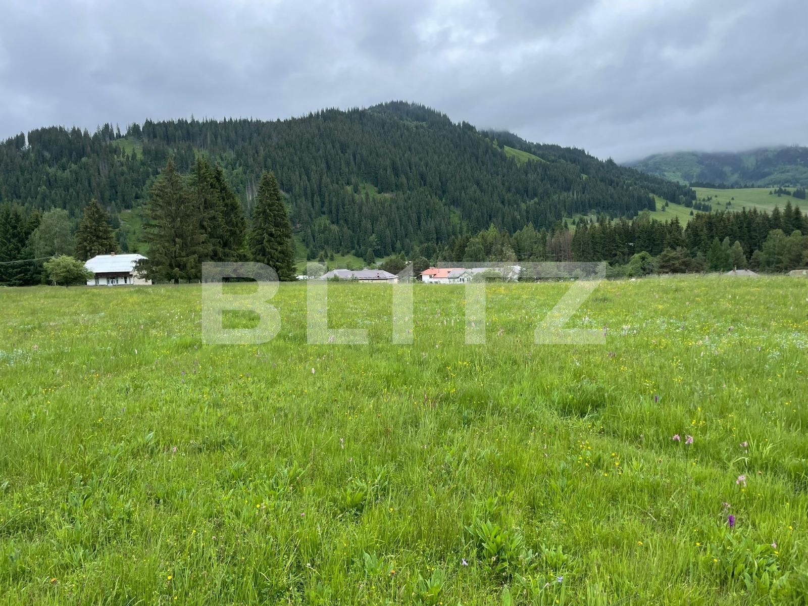 Casa de închiriat 1 camera Vatra Dornei - 118948CI | BLITZ Suceava | Poza6