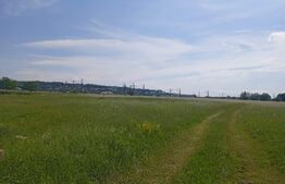 Teren intravilan, 668 mp, zona Șcheia, vizavi de Bermas, în spate la Jumbo