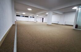 Oportunitate! Spatiu comercial cu potential, 183 mp, Radauti, zona Calarasi