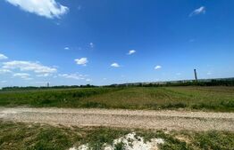 Teren intravilan, 5000 mp, destinat case/duplex zona in plina dezvoltare Lisaura