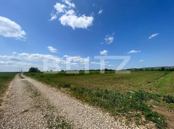 Teren de vânzare Lisaura - 119861TV | BLITZ Suceava | Poza2